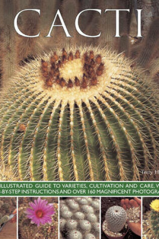 Cover of Cacti