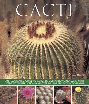 Book cover for Cacti