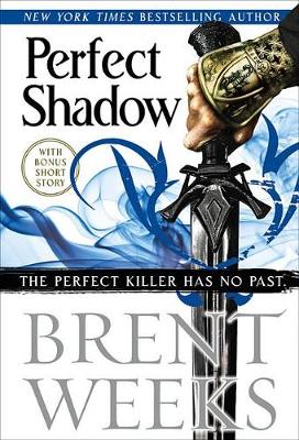 Book cover for Perfect Shadow