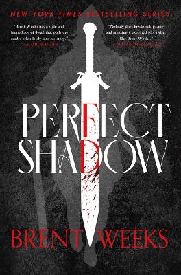 Book cover for Perfect Shadow