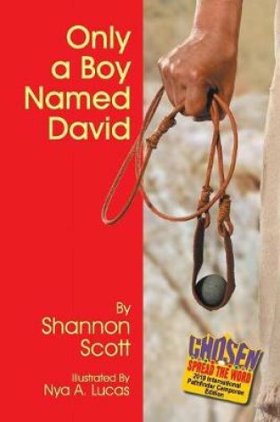 Cover of Only a Boy Named David