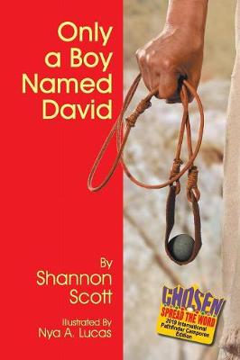 Book cover for Only a Boy Named David