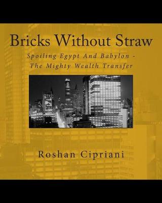 Book cover for Bricks Without Straw