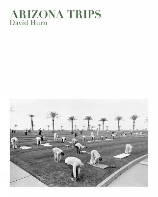 Book cover for David Hurn: Arizona Trips