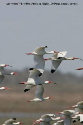 Book cover for American White Ibis Flock in Flight 100 Page Lined Journal