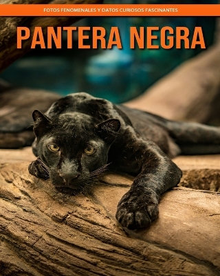 Book cover for Pantera negra