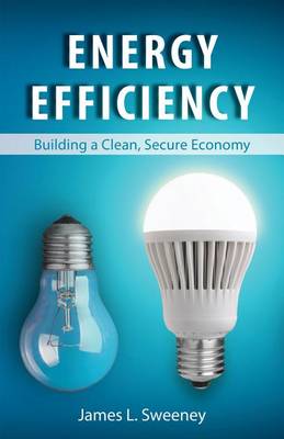 Book cover for Energy Efficiency