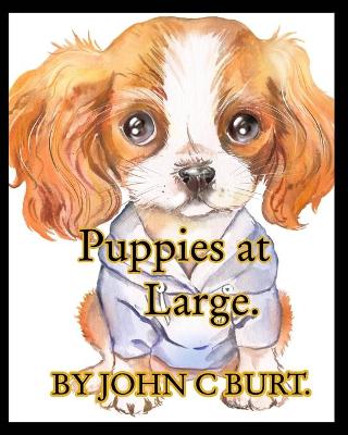 Book cover for Puppies at Large.