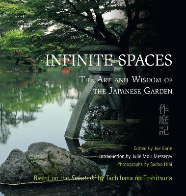 Cover of Infinite Spaces