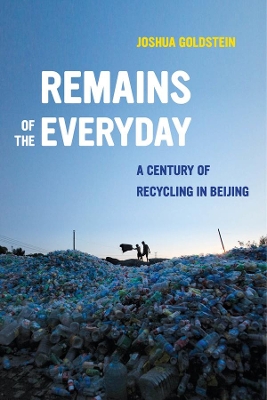 Book cover for Remains of the Everyday