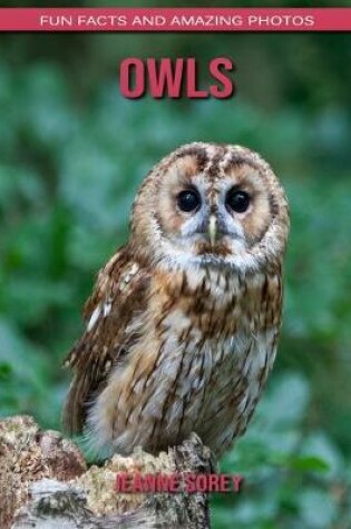 Cover of Owls