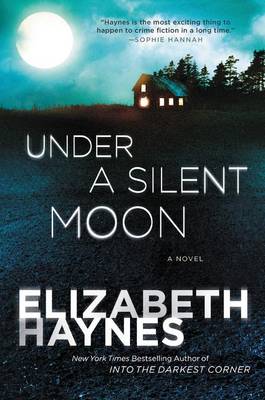 Book cover for Under a Silent Moon