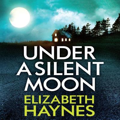 Book cover for Under a Silent Moon