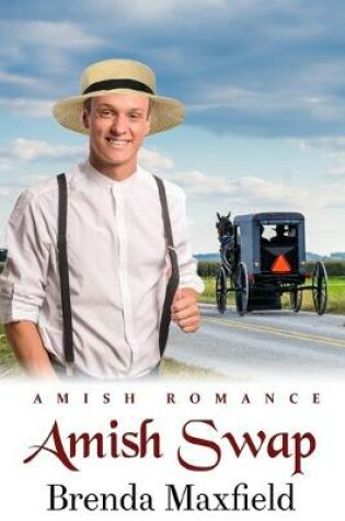 Cover of Amish Swap