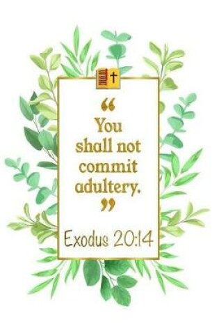 Cover of You Shall Not Commit Adultery