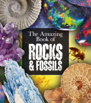 Book cover for The Amazing Book of Rocks and Fossils