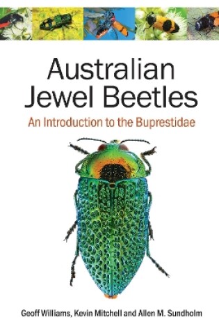 Cover of Australian Jewel Beetles