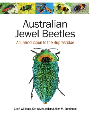 Book cover for Australian Jewel Beetles
