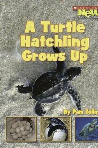 Cover of A Turtle Hatchling Grows Up