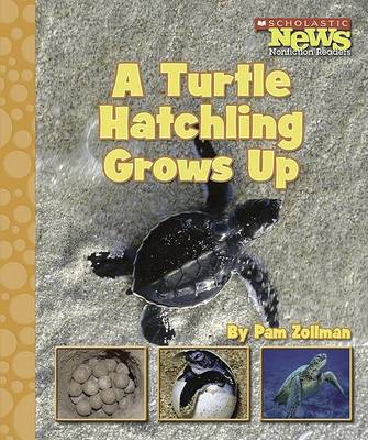 Book cover for A Turtle Hatchling Grows Up
