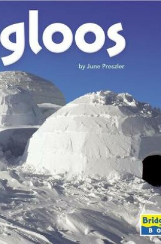 Cover of Igloos