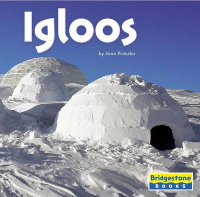 Book cover for Igloos