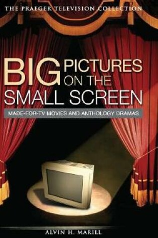 Cover of Big Pictures on the Small Screen
