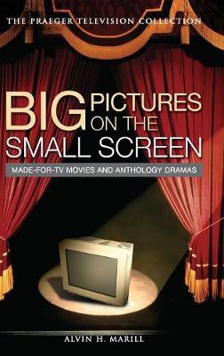 Book cover for Big Pictures on the Small Screen