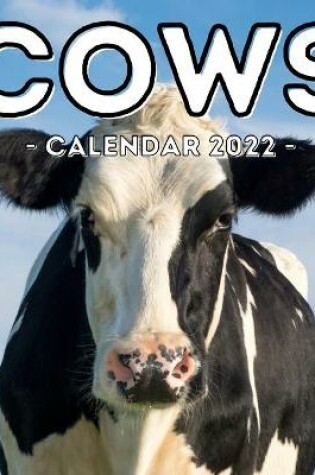 Cover of Cows Calendar 2022