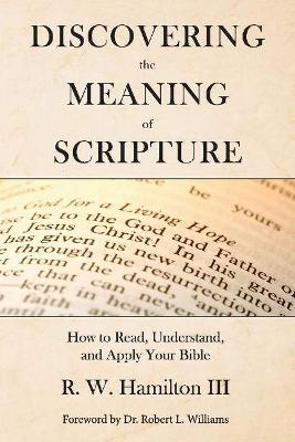 Cover of Discovering the Meaning of Scripture