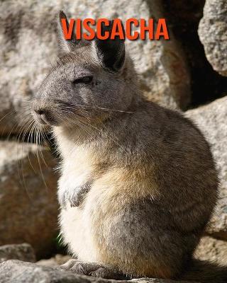 Book cover for Viscacha