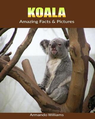 Book cover for Koala