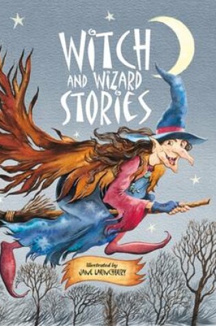 Cover of Witch and Wizard Stories