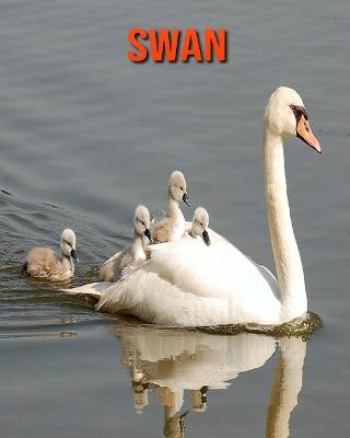 Book cover for Swan