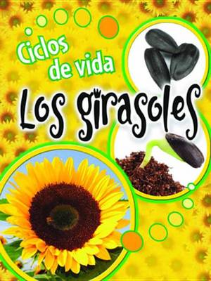 Book cover for Ciclos de Vida Los Girasoles (Life Cycles