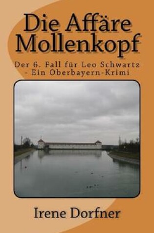 Cover of Die Affare Mollenkopf