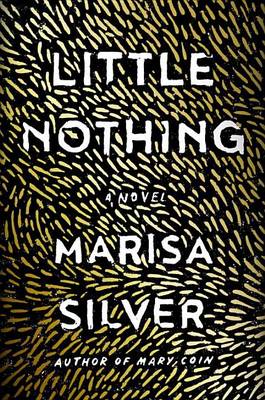 Book cover for Little Nothing