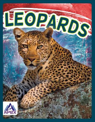 Book cover for Wild Cats: Leopards