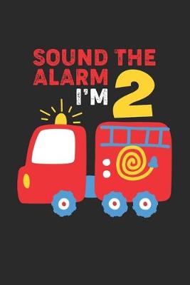 Book cover for Sound The Alarm I'm 2