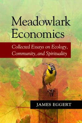 Book cover for Meadowlark Economics