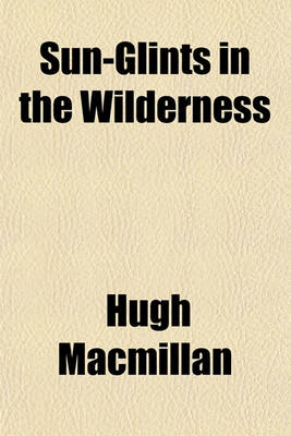 Book cover for Sun-Glints in the Wilderness