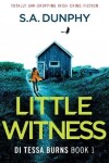 Book cover for Little Witness