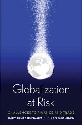Book cover for Globalization at Risk