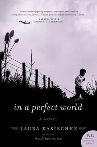 Cover of In a Perfect World