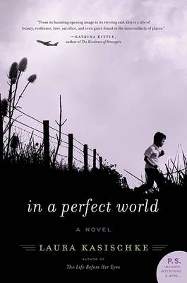 Book cover for In a Perfect World