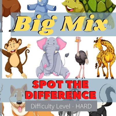 Book cover for Big Mix - Spot the difference