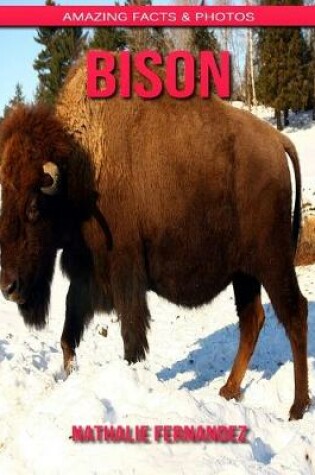 Cover of Bison