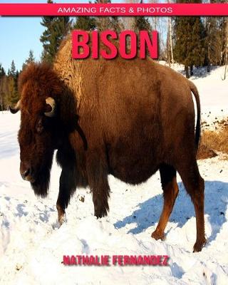 Book cover for Bison