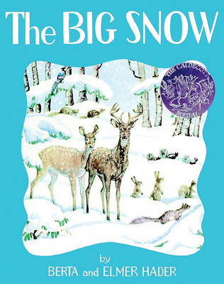 Book cover for The Big Snow