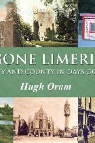Cover of Bygone Limerick